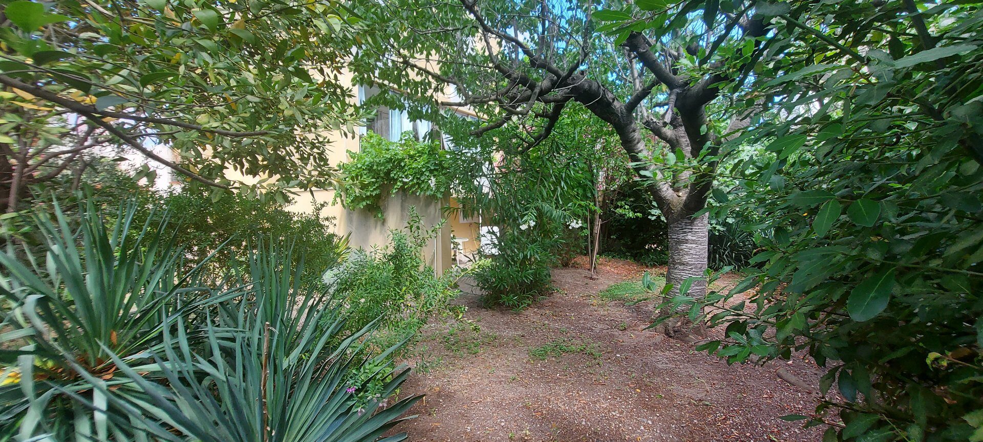 Property view 4