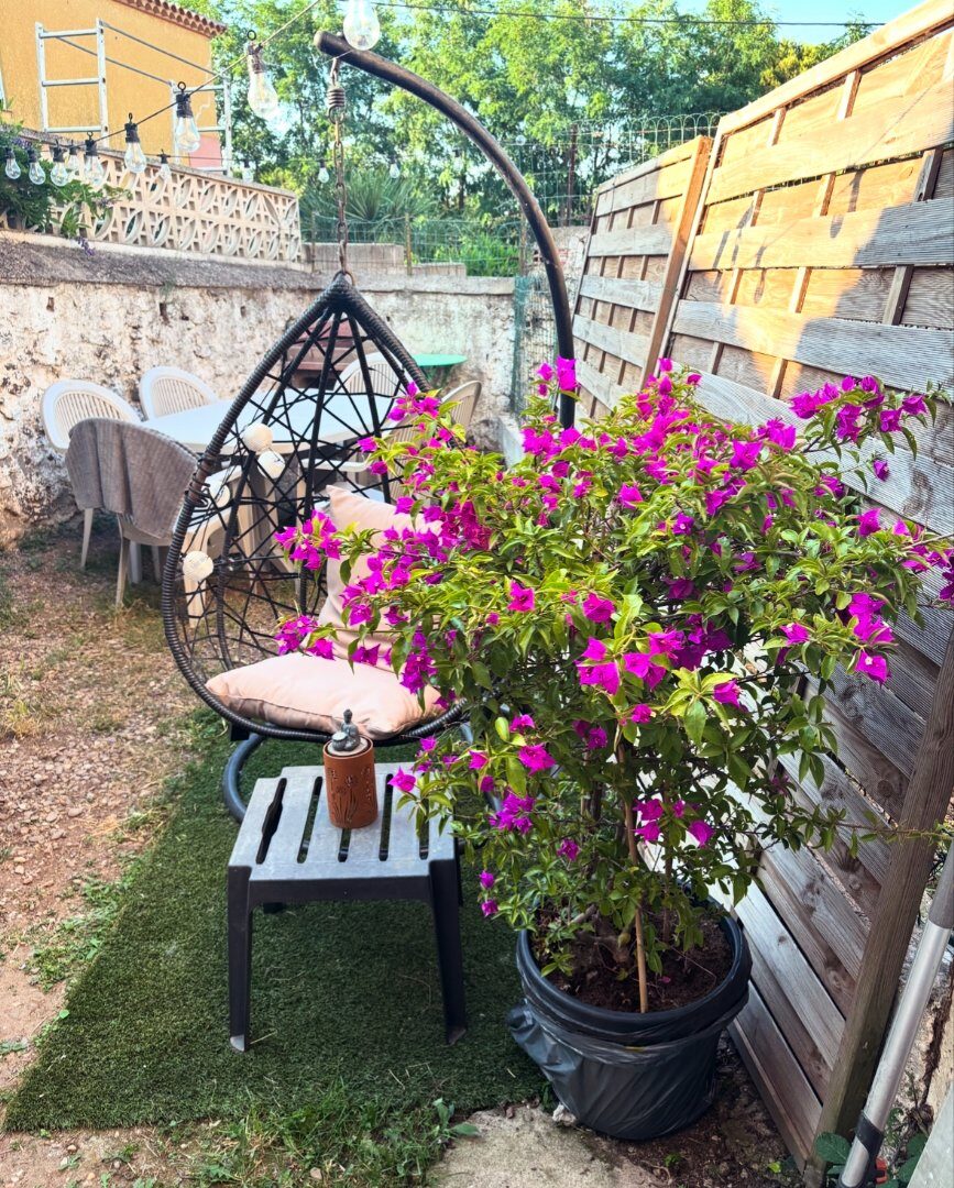 Property view 2