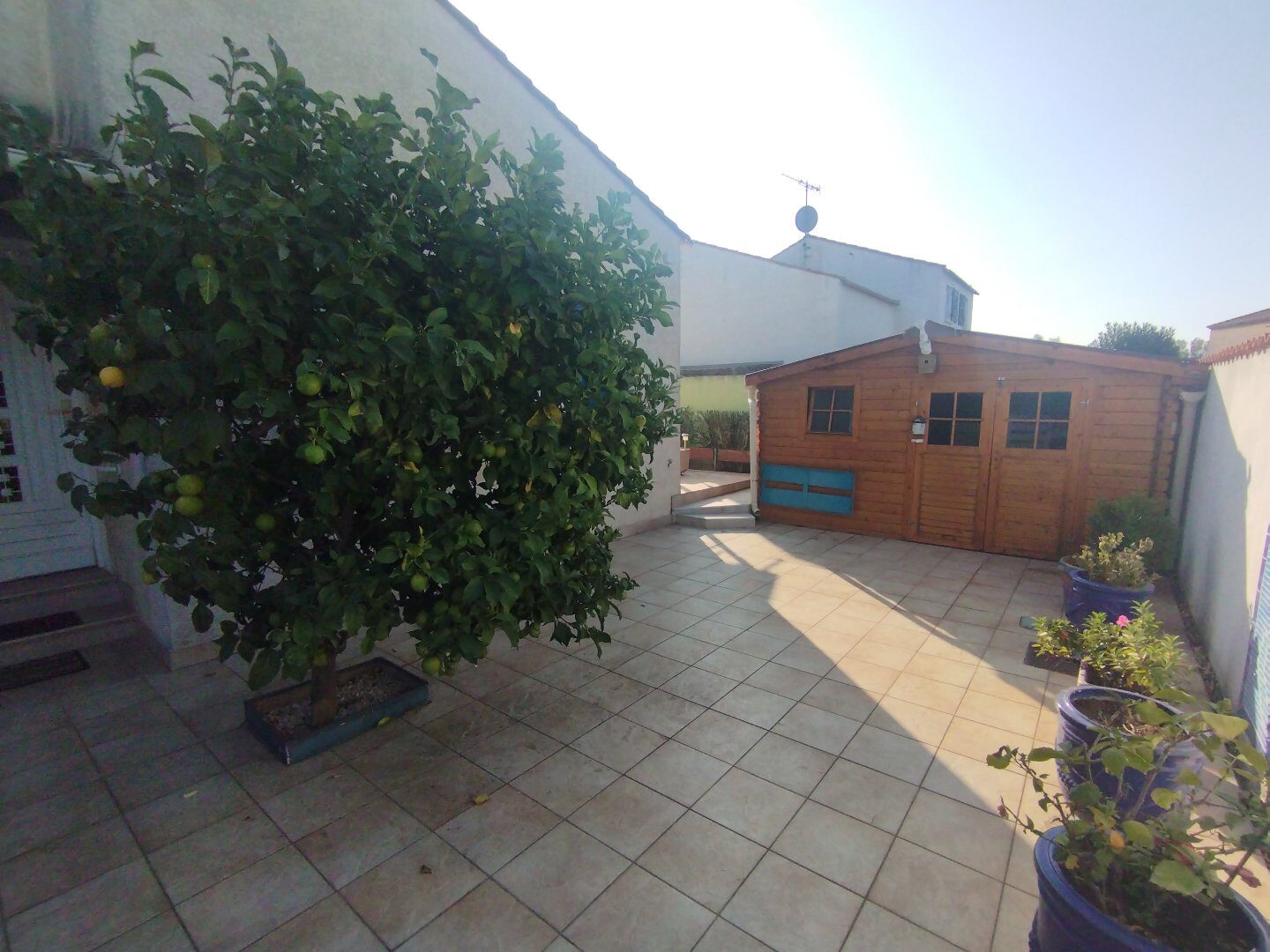 Property view