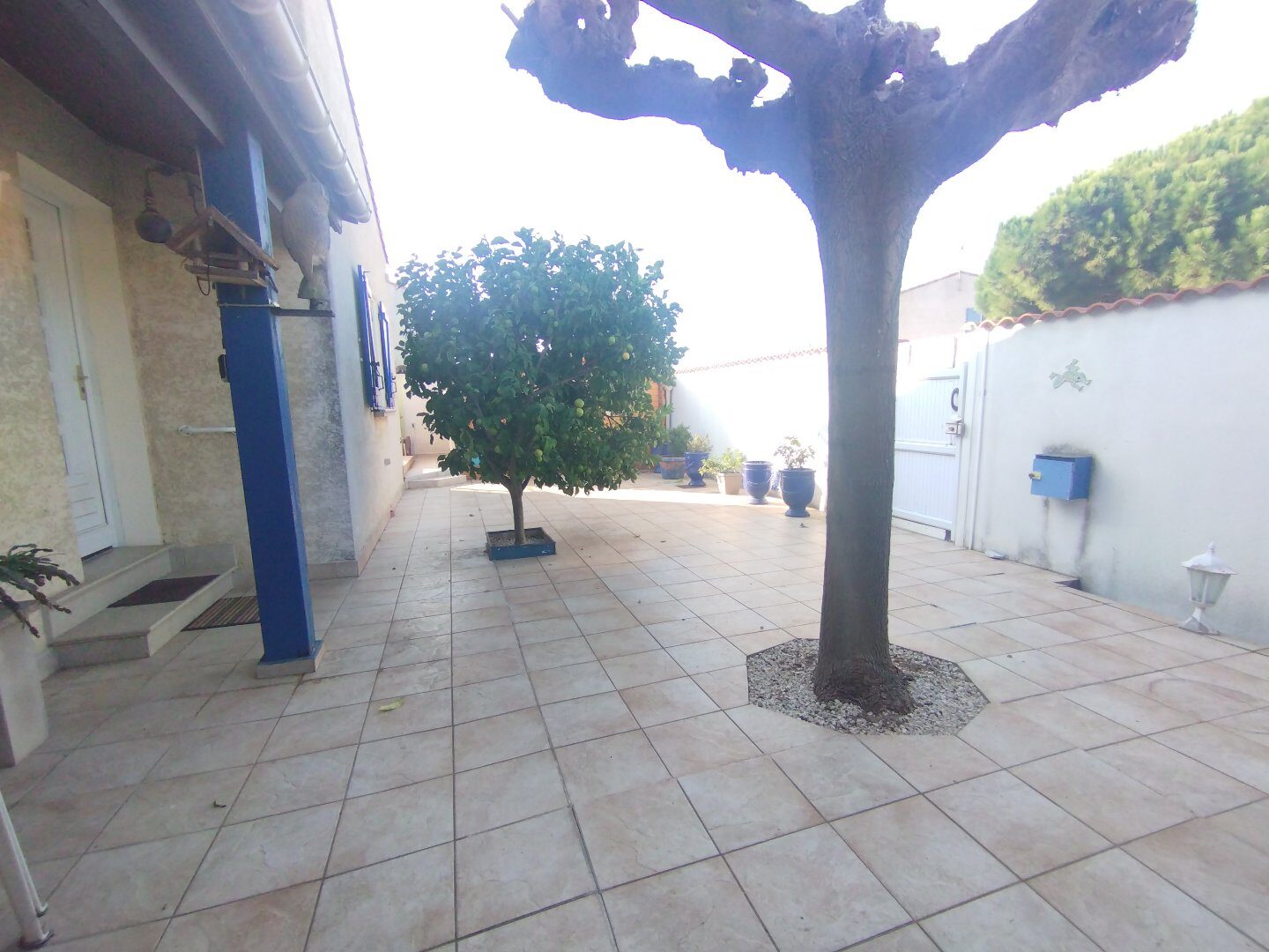 Property view 2