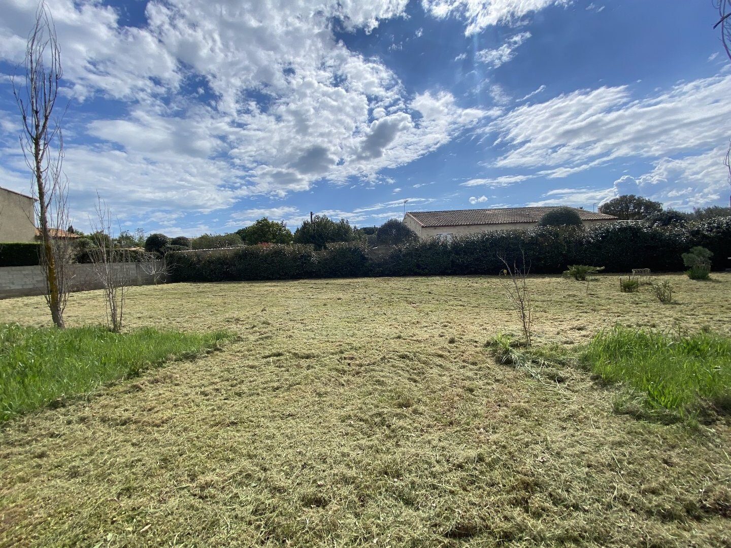 Property view 2