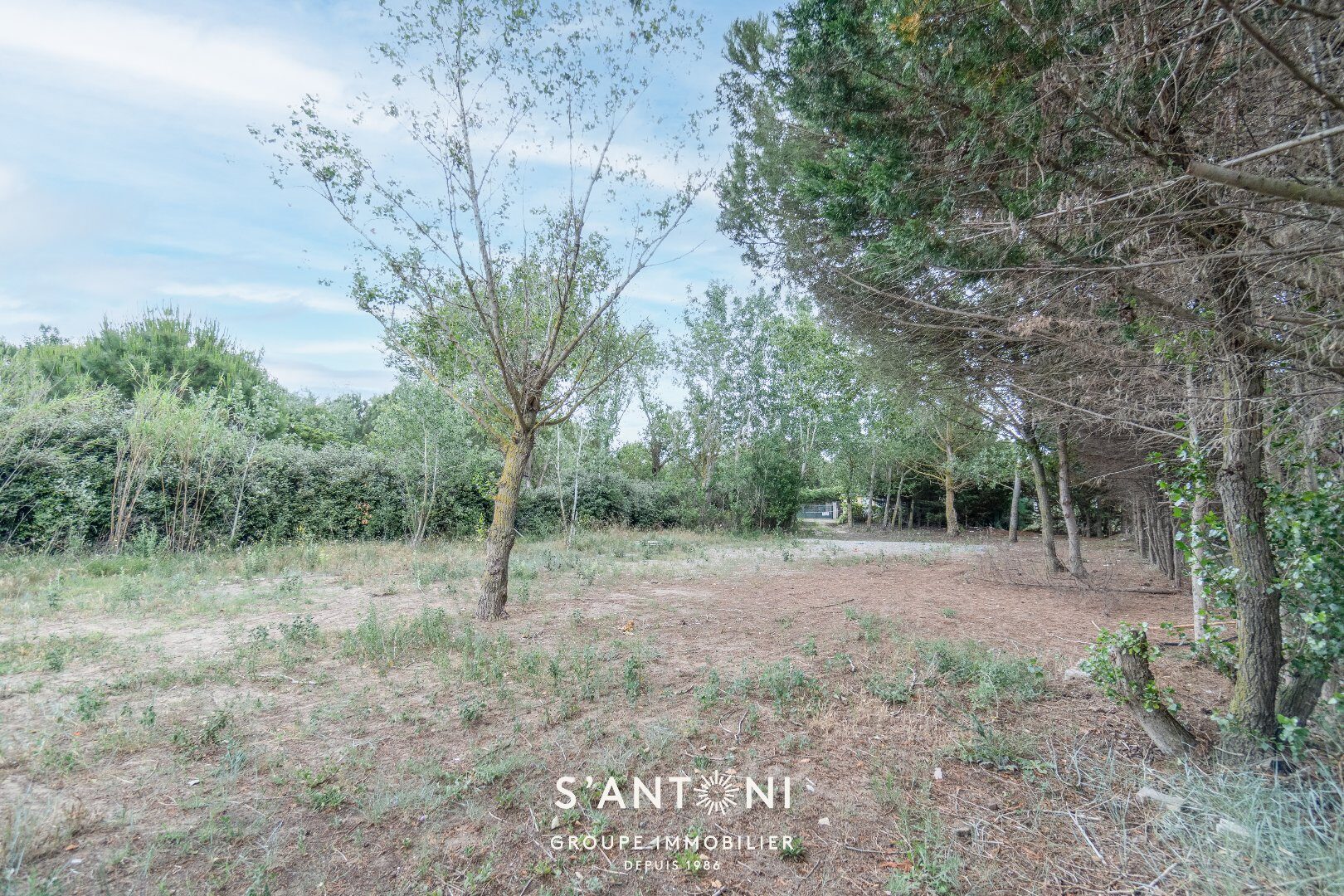 Property view 5