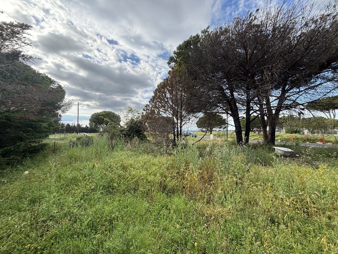 Property view 2