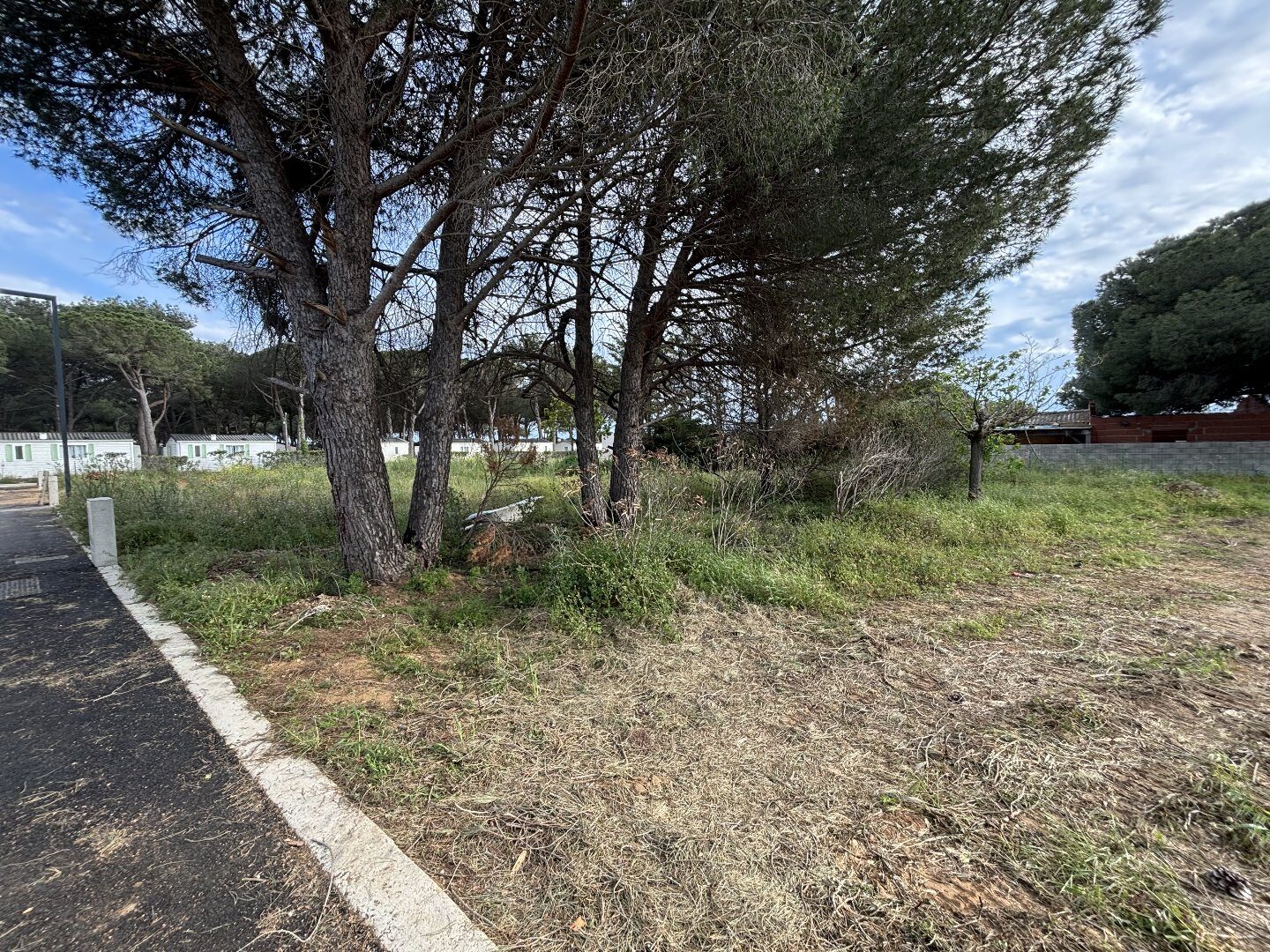 Property view 3