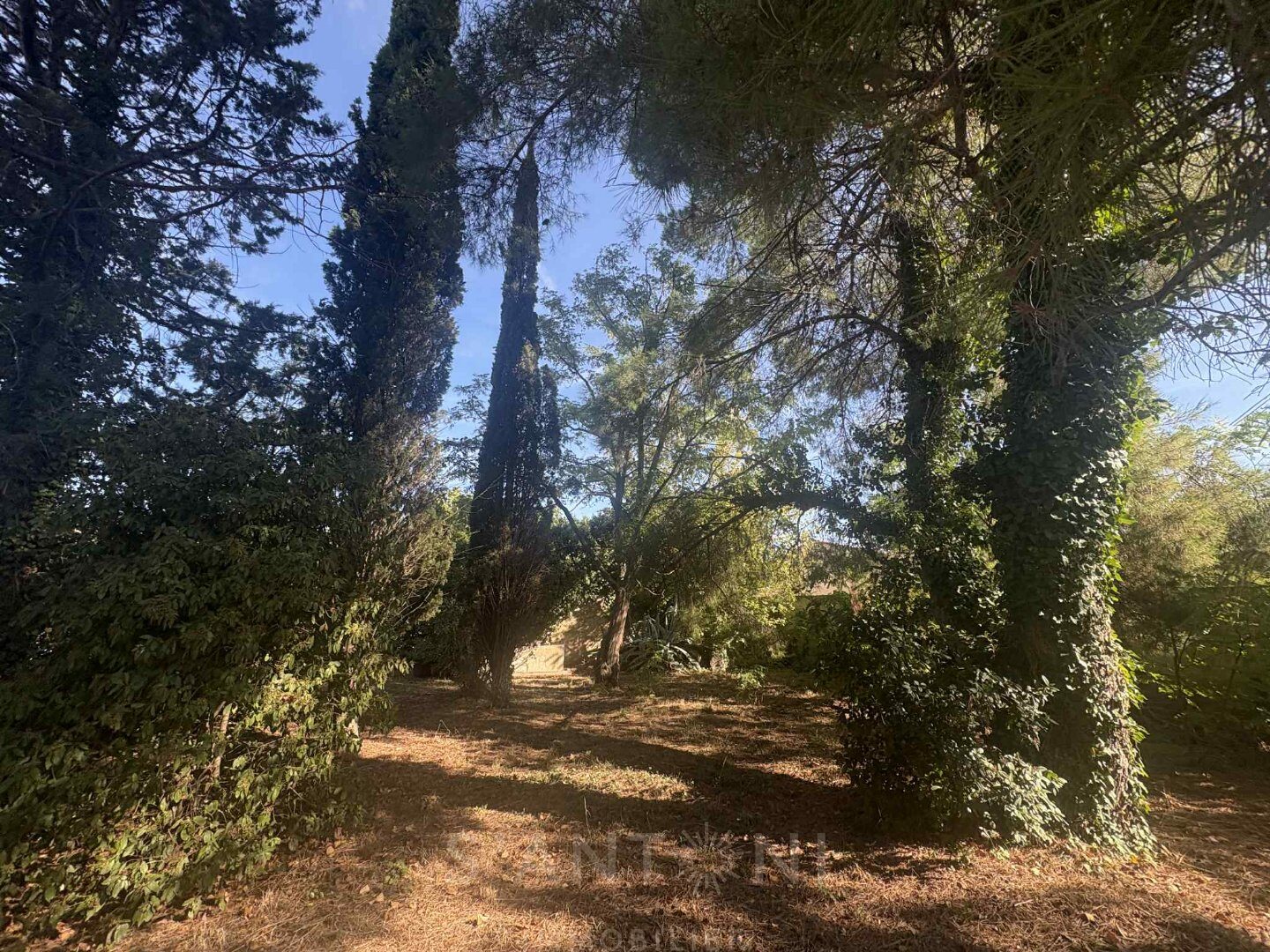 Property view 3