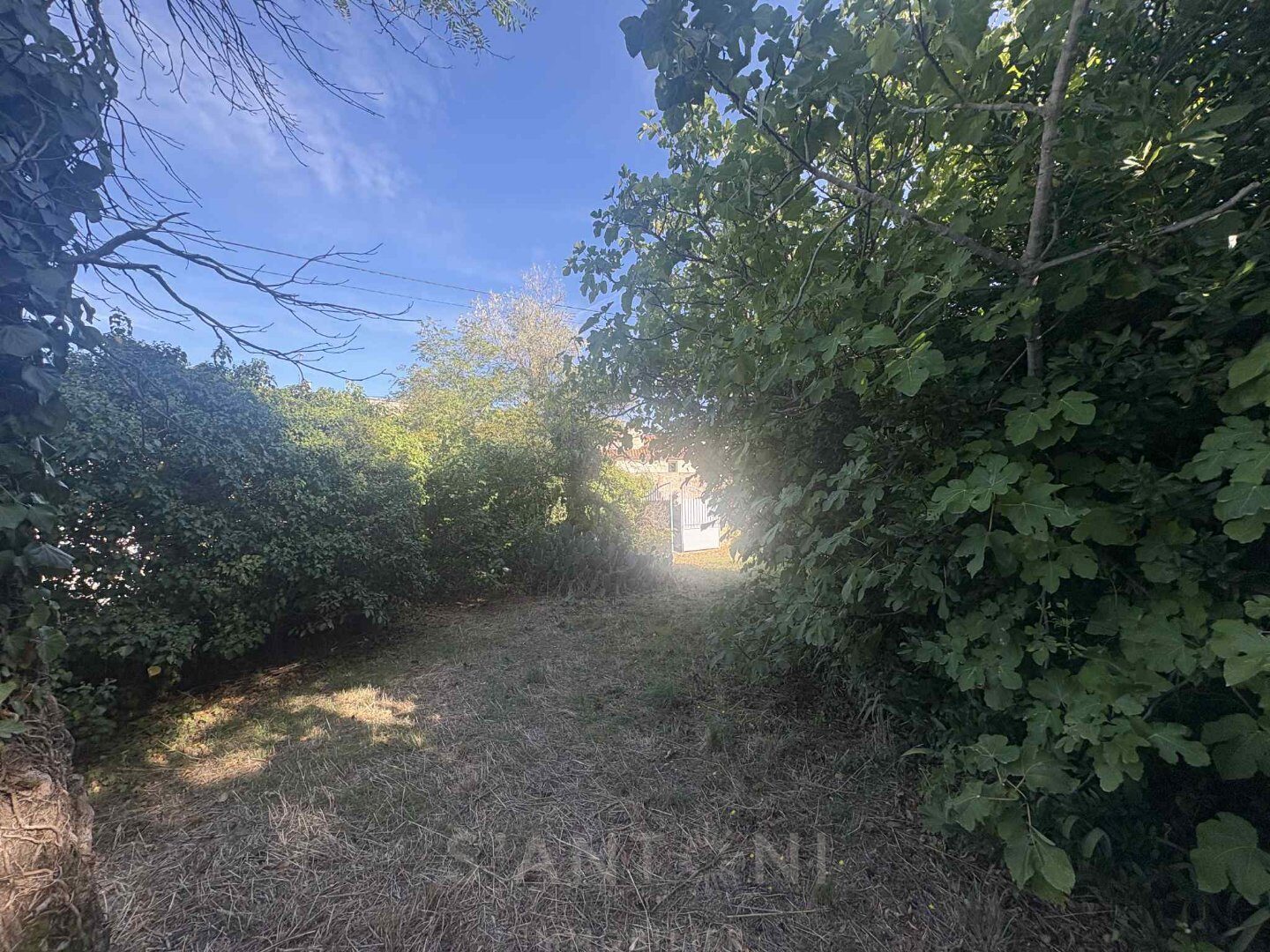 Property view 4