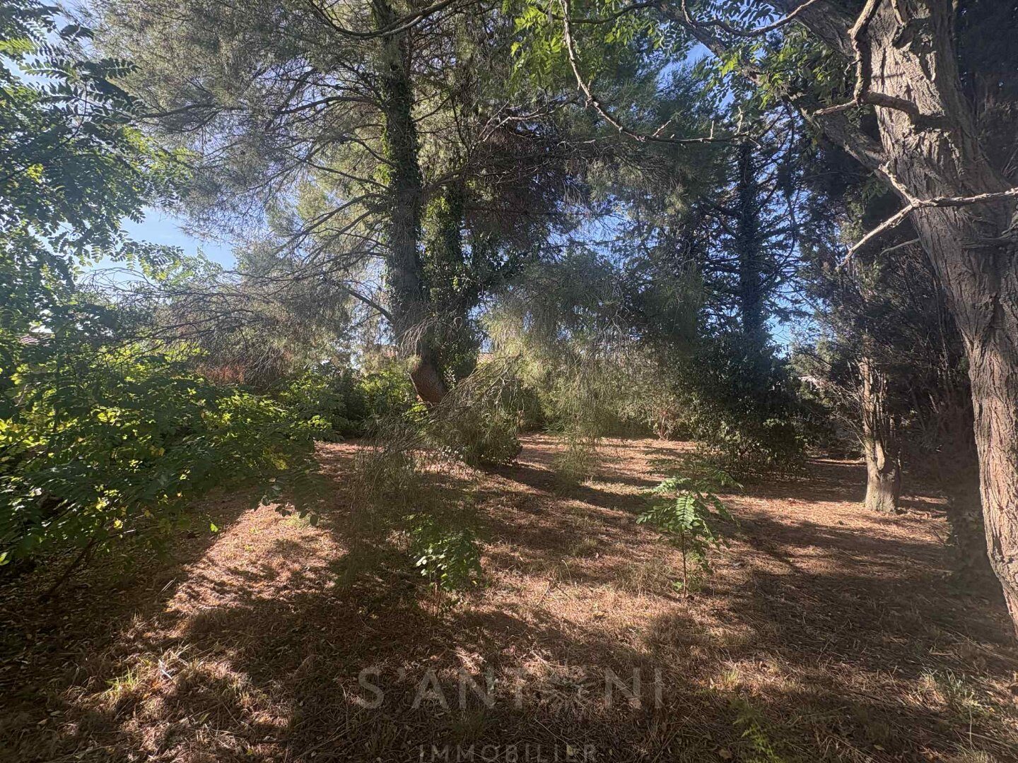 Property view 5