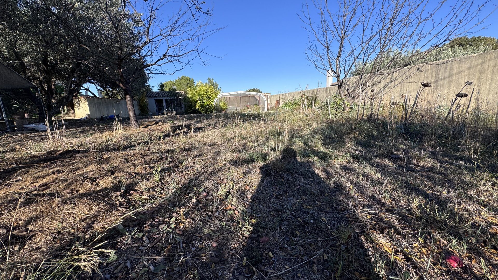 Property view 4