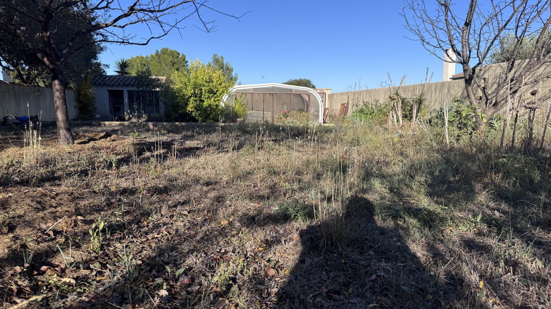 Property view 5