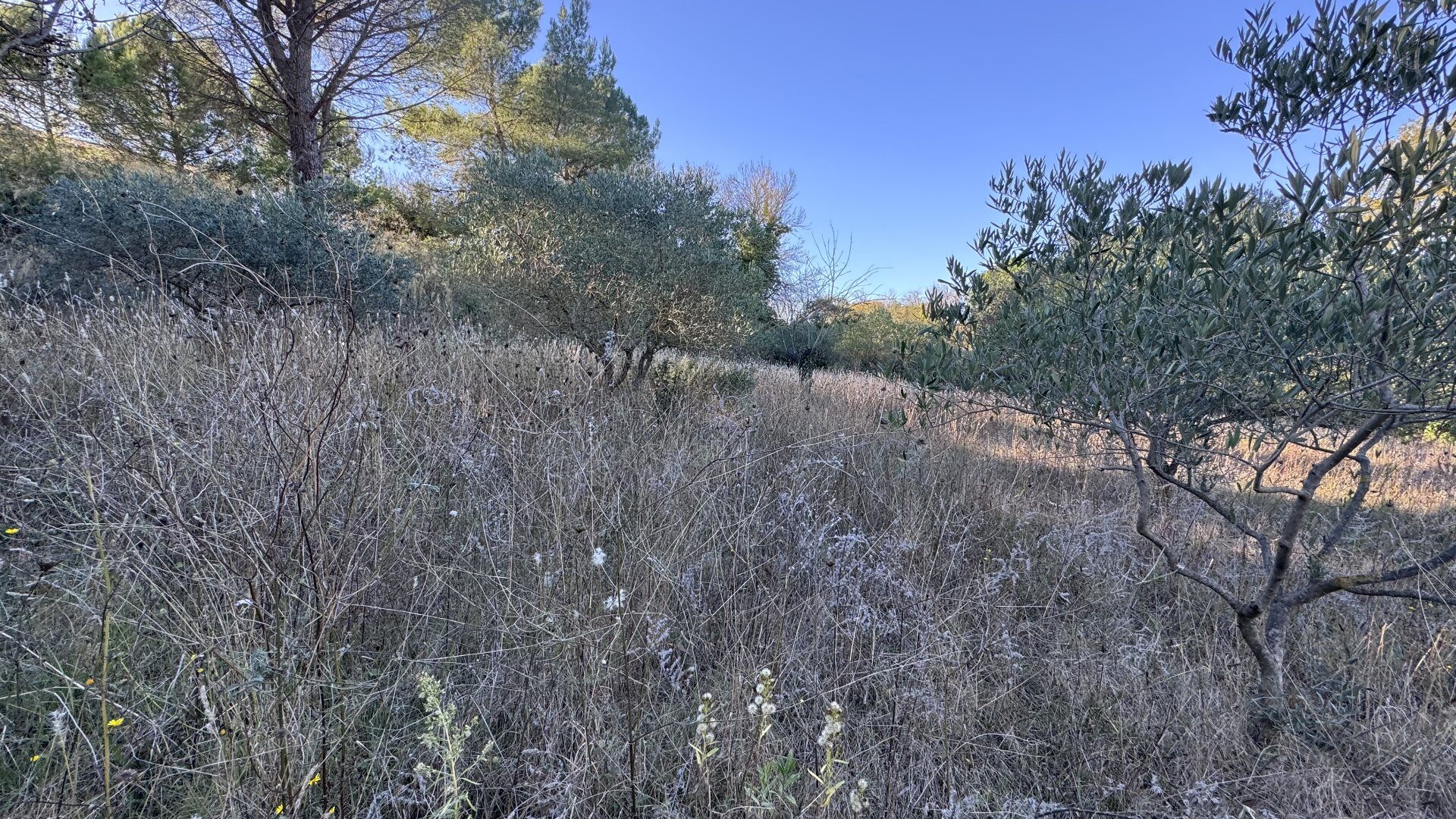 Property view 2