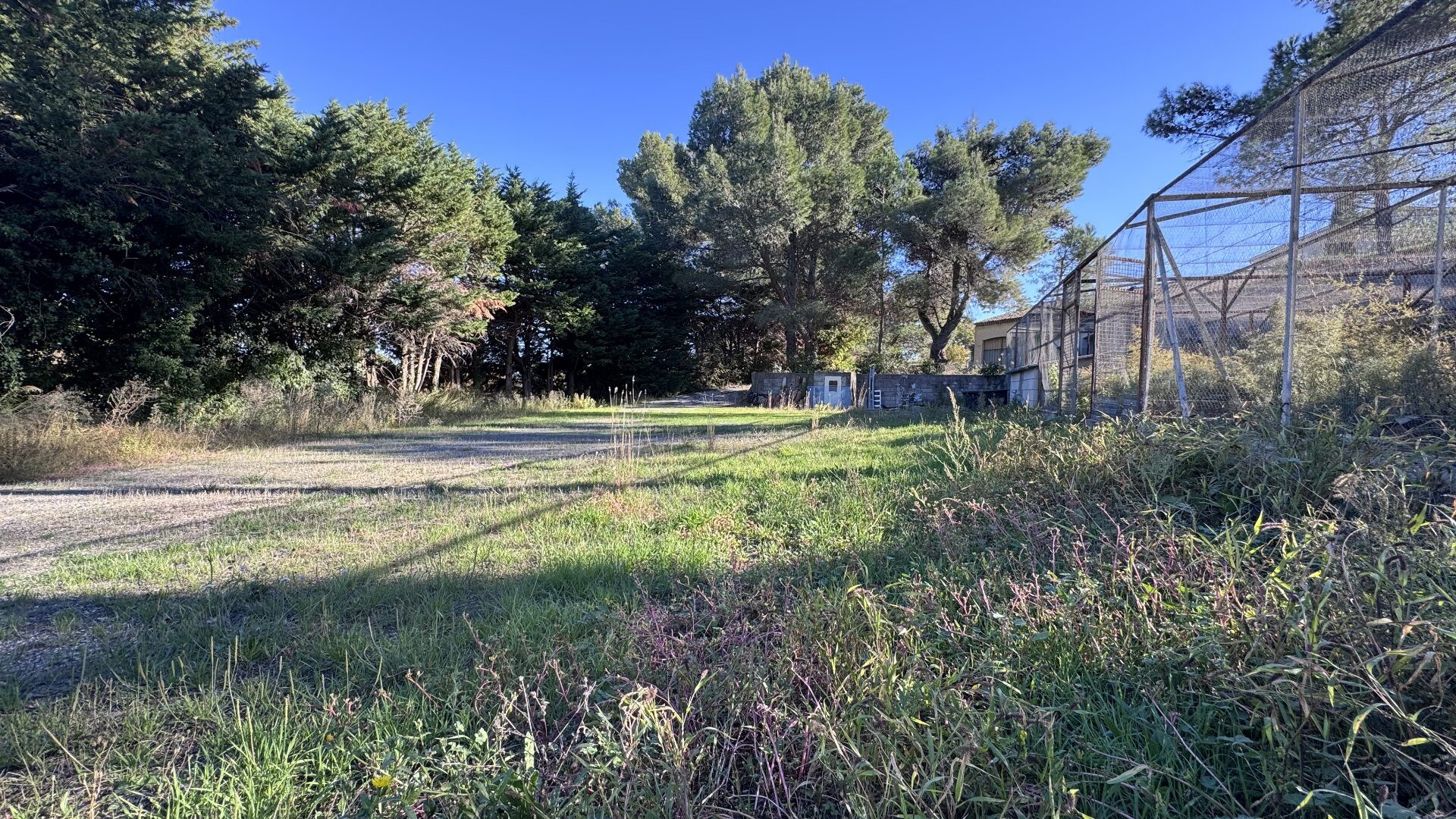 Property view 5